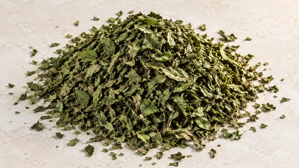 Basil, photo 3 of 3